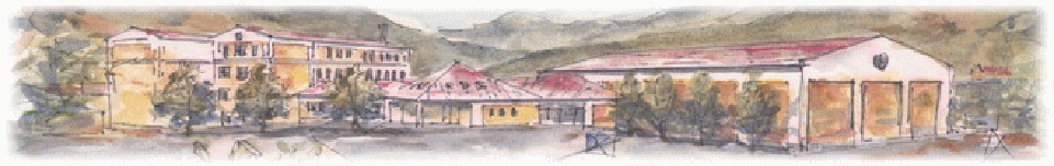 glava